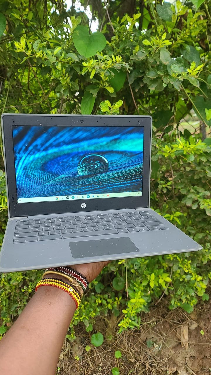A picture of Hp Chromebook