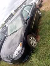 A picture of Camry BigDaddy
