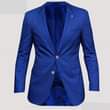 A picture of Blazers