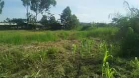 A picture of LAND