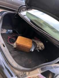 A picture of Camry 07