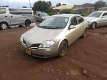 nissan primera
