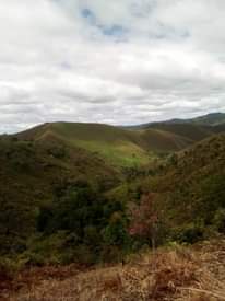A picture of Shamba linalofaa kwa kilimo cha parachichi au miti ya mbao
