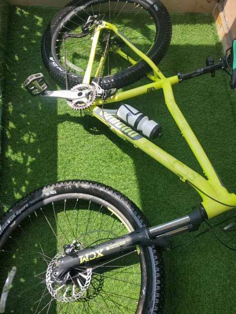 shimano