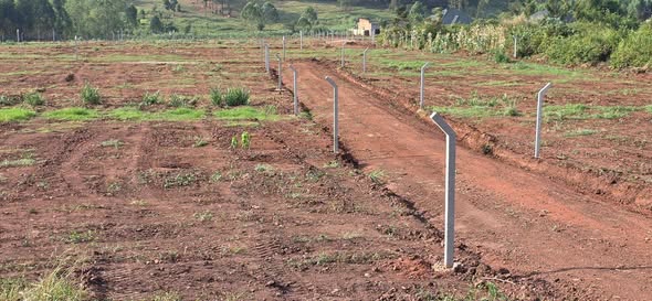 A picture of Plots