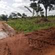 A picture of Plots on sale located at matugga gombe along matugga semuto