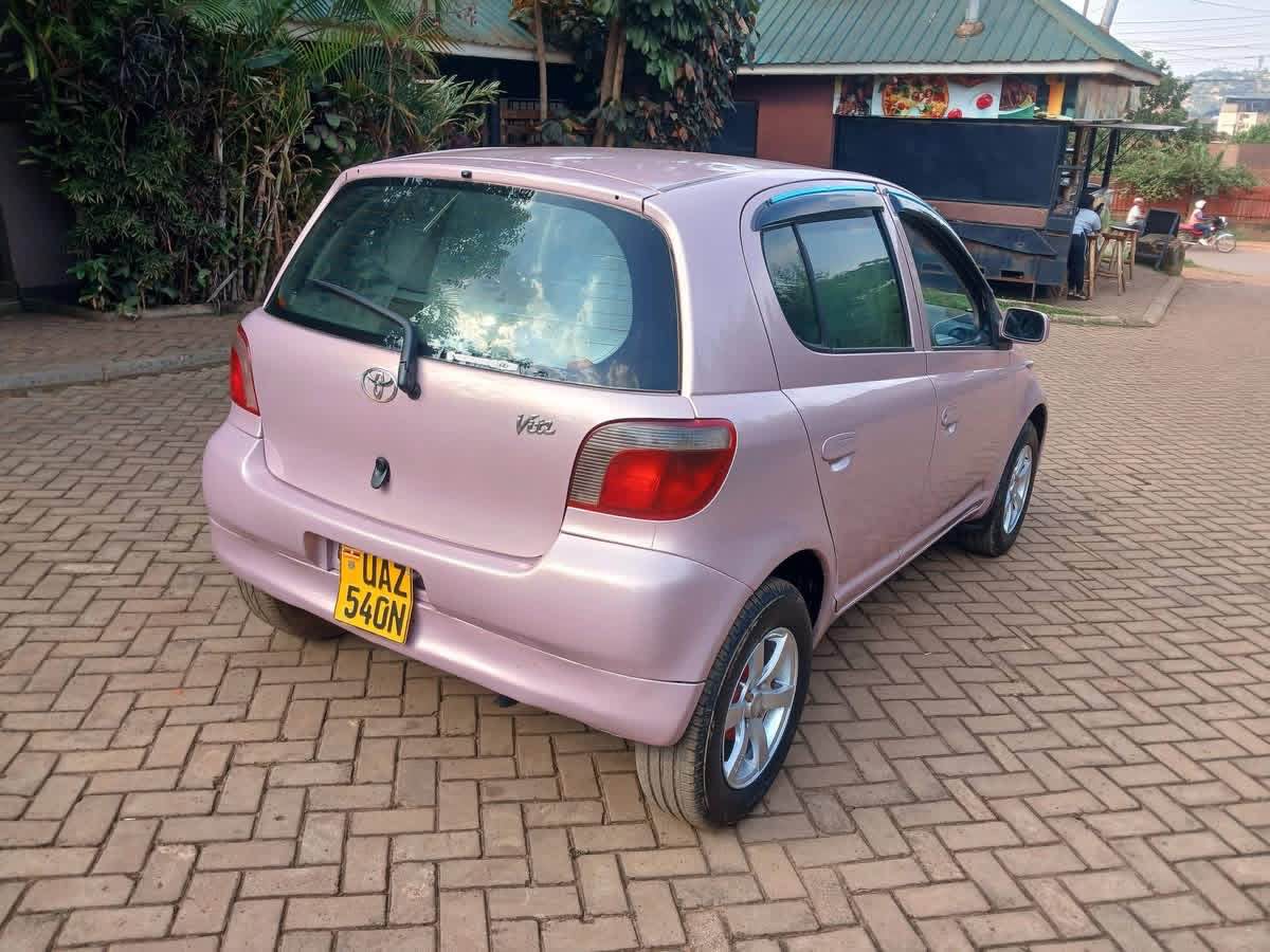 A picture of Vitz