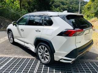 A picture of 2020 TOYOTA RAV4 2020