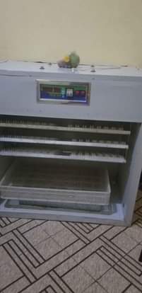 A picture of Incubator machine Inachukua mayai 528 Hatching 95 Inageuza yenyewe automatic