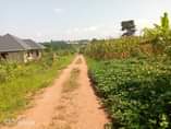 A picture of Nice plots on sale Location Matuga nasse Along semuto road