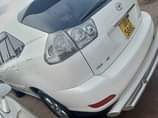 A picture of Harrier kawundo