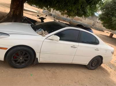 A picture of 07068063820
