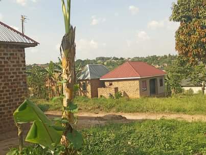 houses matugga