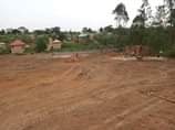A picture of Get your own plot today Quick sale Plots on sale