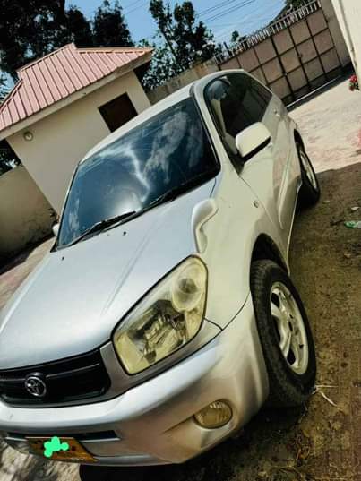 A picture of Rav4 kill time
