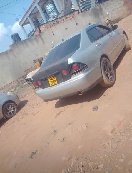 used toyota altezza