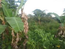 A picture of 90ft by 180ft for sale at 20 millions by owner