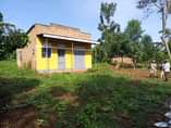A picture of House
