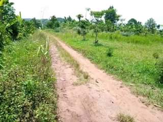 A picture of PLOT 40 170FT FOR SALE IN NAKASEKE KAPEEKA 1KM FROM