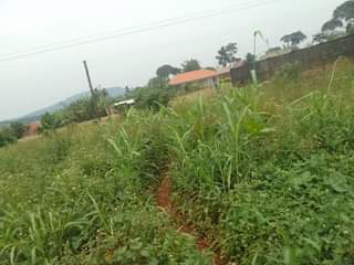 A picture of 100 by 100 ft that touches the tarmac of mukono