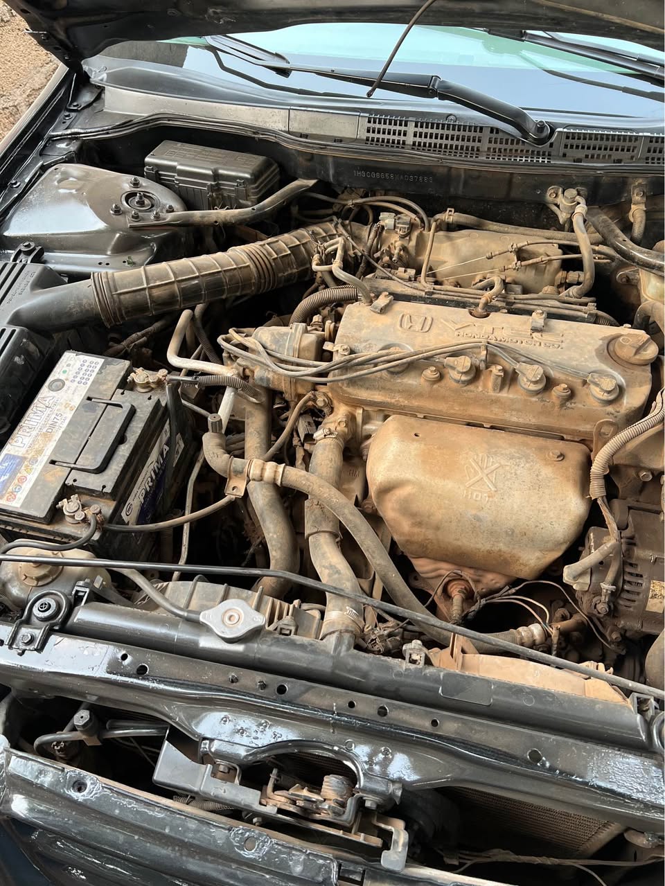 A picture of Honda Baby boy Model 2000