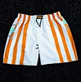 A picture of Boxer kamba