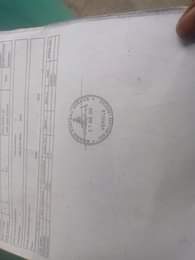 A picture of Bought may 2024 Barely driven Still in order and like
