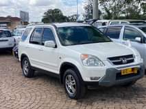 used honda crv