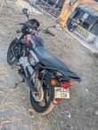 A picture of Boxer X 150
