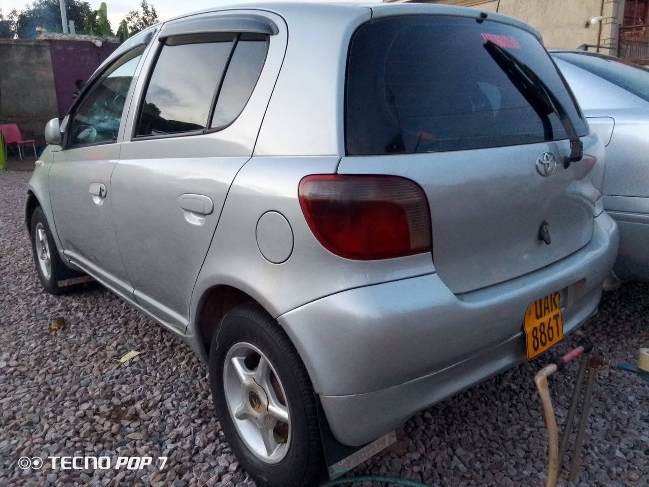 A picture of Vitz