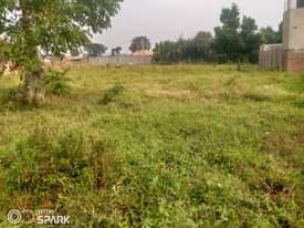 A picture of Half acre for sale in kira just 200 meters off