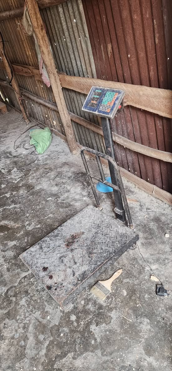 A picture of Chicken farm for hire