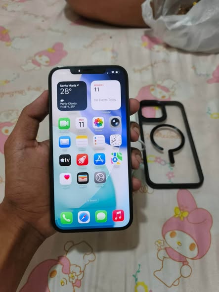 A picture of IPHONE 12 PRO MAX