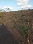 A picture of Kiwanja Kinauzwa Kibaha Loliondo