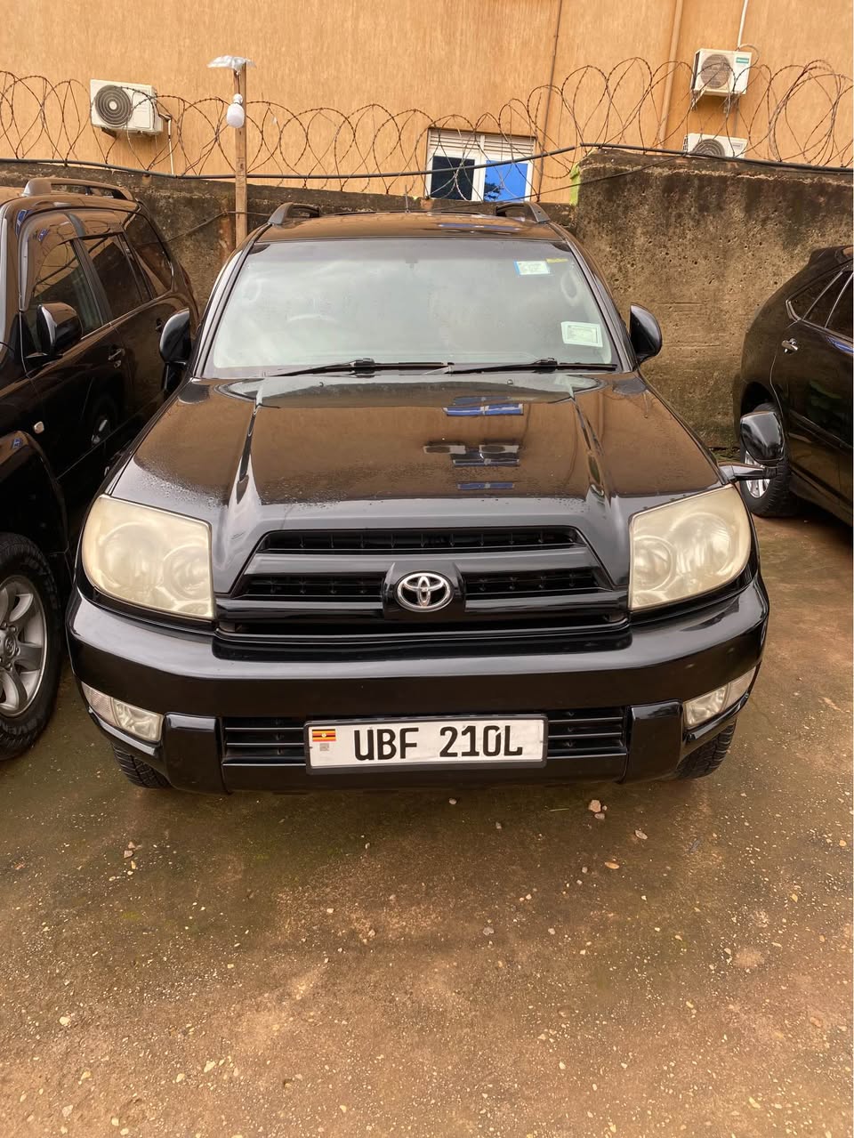 toyota surf