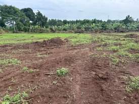 A picture of 50X100FT TITLED PLOTS FOR SALE