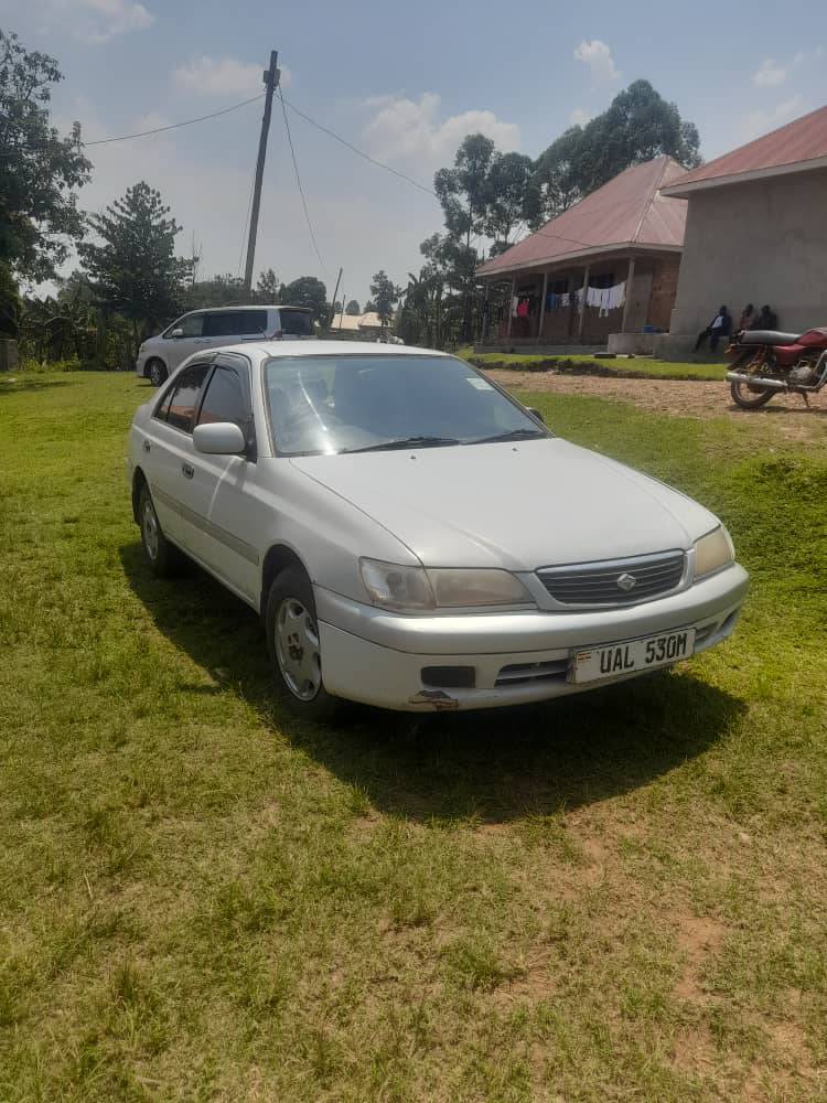 Kakembo J.