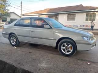 A picture of Premio old