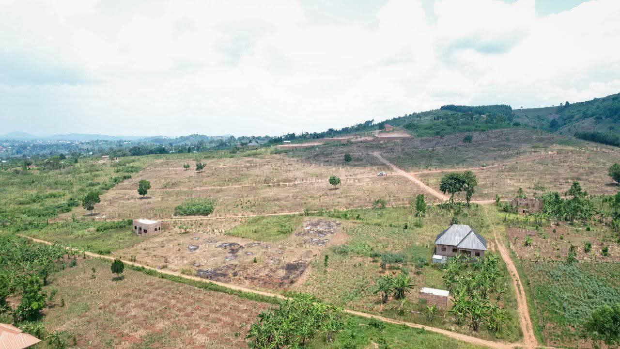 A picture of Land