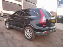 used honda crv