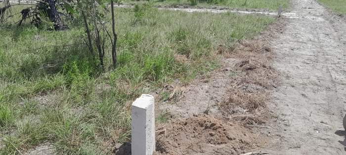 A picture of Ofa ofa ofa Wahi ujipatie kiwanja chako KIGAMBONI kwa bei