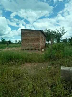 houses livingstone