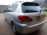 A picture of Ipsum 7.8m 0705378411