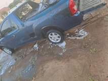 Ntshavheni W.