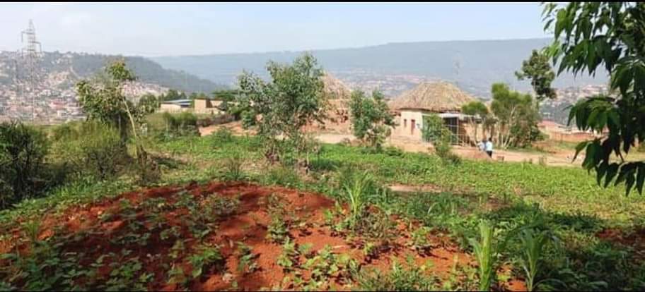 kagugu accommodation