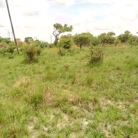 mwembeshi