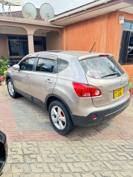 A picture of Nissan Dualis
