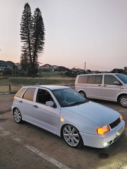 polo classic