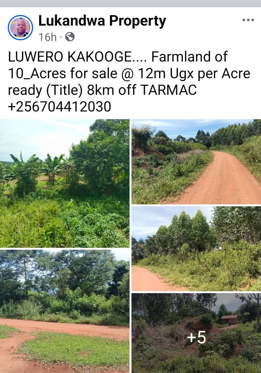 A picture of Plot KIRA KIJABIJO ESTATE 45m Ugx title 256704412030