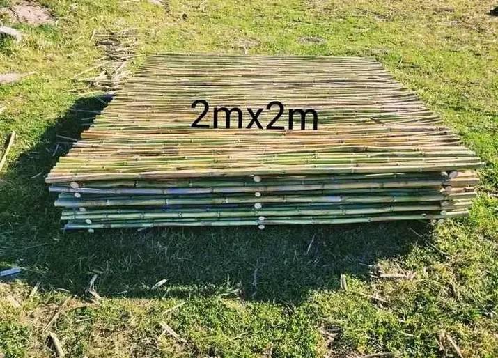 bamboo bed